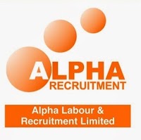 Alpha Recruitment 816818 Image 7