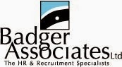 Badger Associates Limited 806852 Image 2