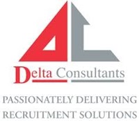 Delta Consultants 811050 Image 6