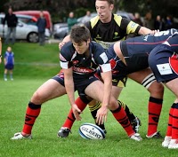 Dundee Rugby 807104 Image 0