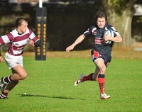 Dundee Rugby 807104 Image 2