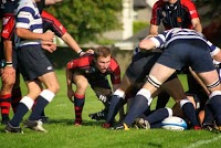 Dundee Rugby 807104 Image 4