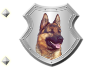 Guard Dog Security 805208 Image 0