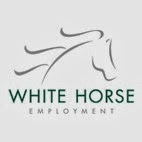 White Horse Employment Network Ltd 816021 Image 0
