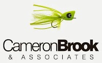 Cameron Brook and Associates Ltd 813033 Image 0