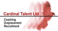 Cardinal Talent Ltd 812638 Image 0