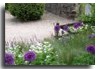 English Country Gardeners Ltd 814786 Image 0
