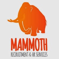 Mammoth Recruitment and HR services LTD 818842 Image 0