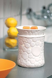 Scentsy Independent Consltant 817261 Image 5