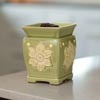 Scentsy Independent Consltant 817261 Image 7