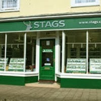 Stags South Molton Office 812896 Image 0